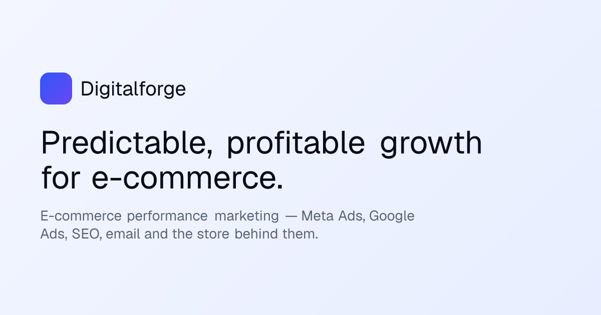 E-commerce Performance Marketing Agency